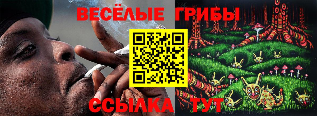 Первоуральск  Псилоцибиновые грибы Psilocybine cubensis  Вход с VPN 