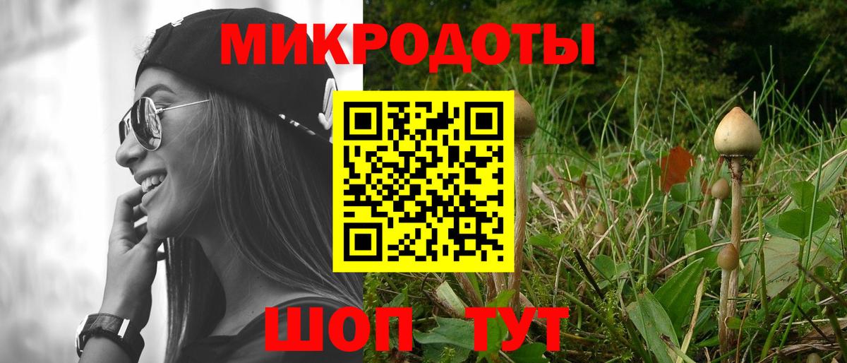 Псилоцибиновые грибы Psilocybe Первоуральск